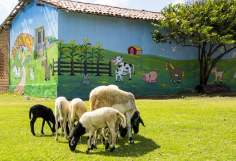 Coliseum Beach Hotel All Inclusive