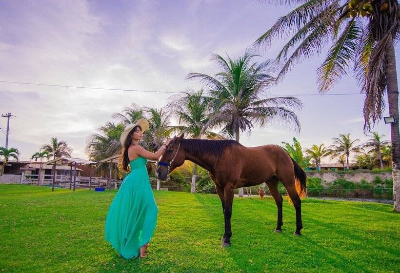 Coliseum Beach Hotel All Inclusive