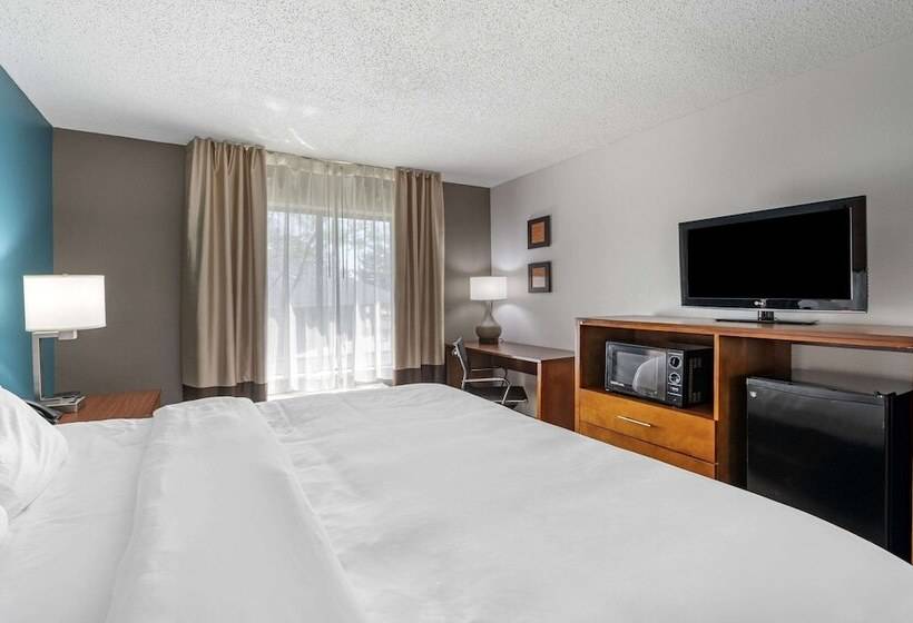 فندق Comfort Inn Airport