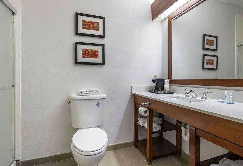 فندق Comfort Inn Airport