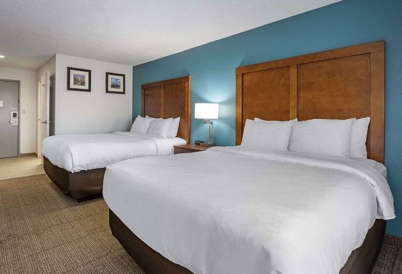 فندق Comfort Inn Airport