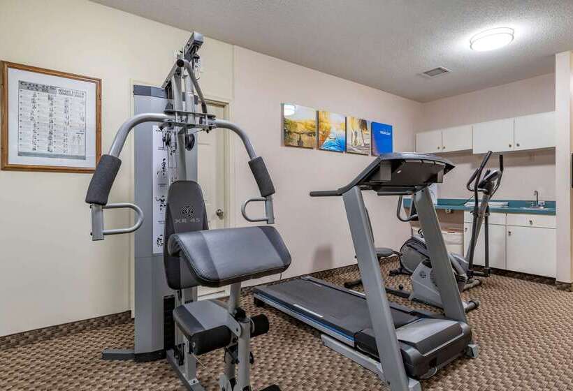 酒店 Comfort Inn Charlotte