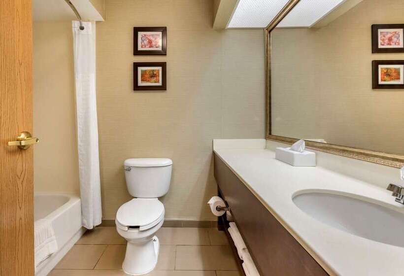 酒店 Comfort Inn Charlotte