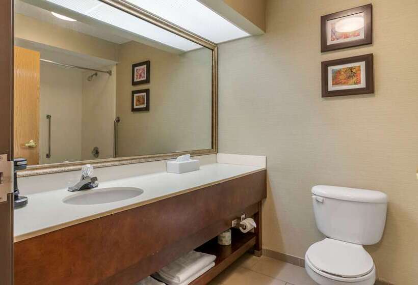 호텔 Comfort Inn Charlotte