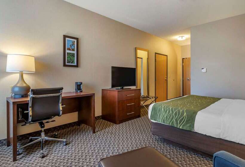 酒店 Comfort Inn Charlotte