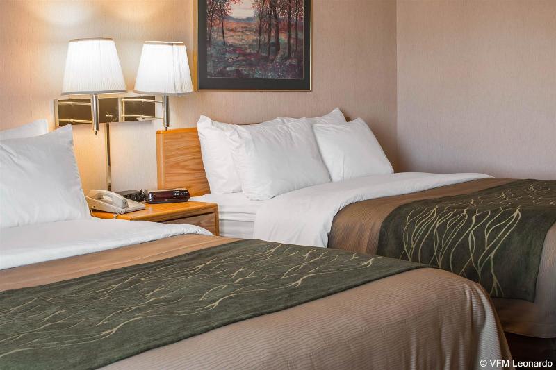 酒店 Comfort Inn Charlotte