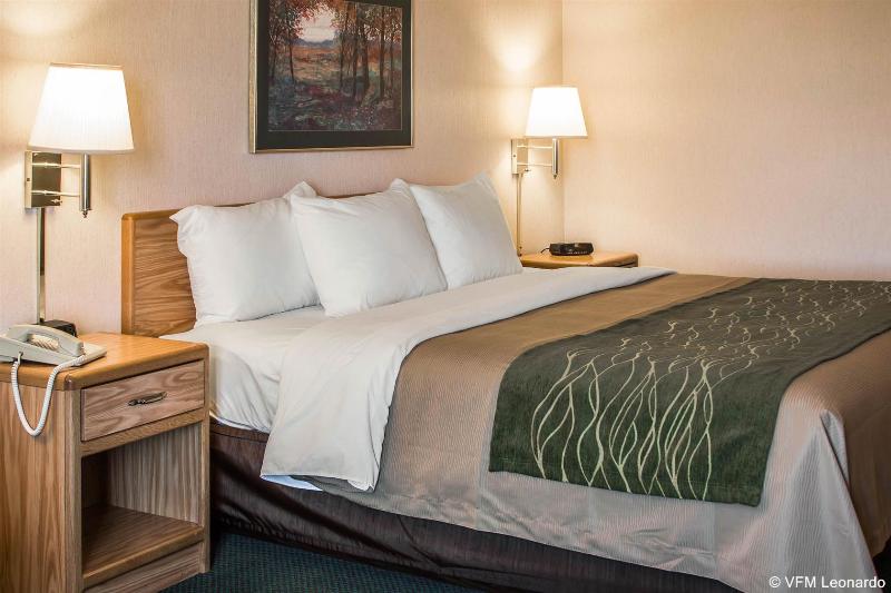 酒店 Comfort Inn Charlotte