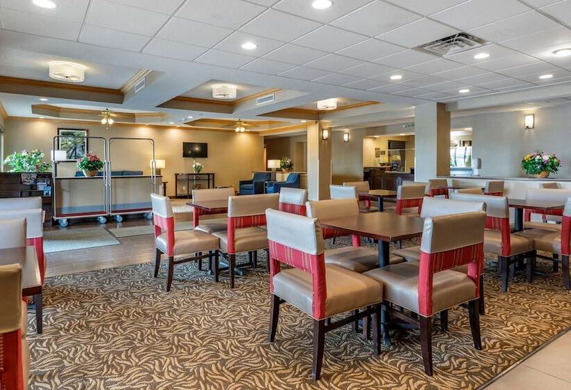 酒店 Comfort Inn Charlotte