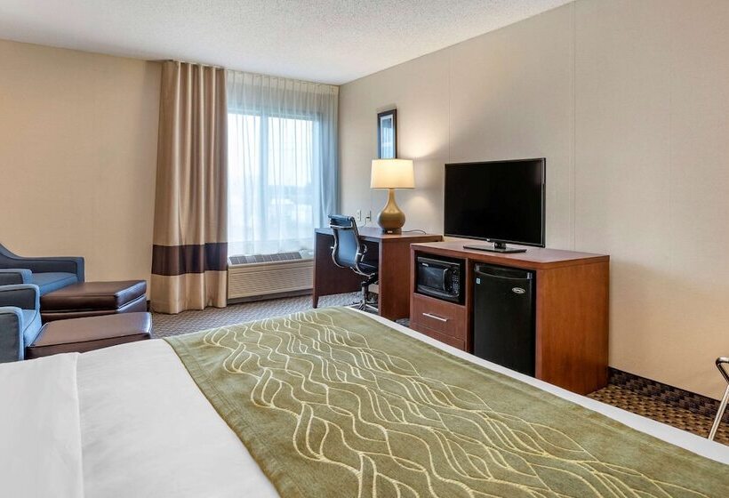 酒店 Comfort Inn Charlotte