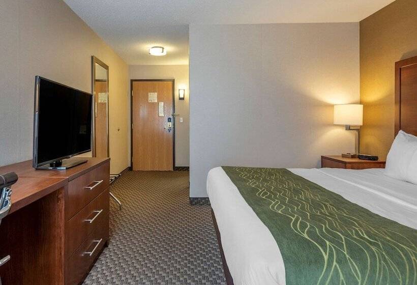 בית מלון כפרי Comfort Inn Charlotte