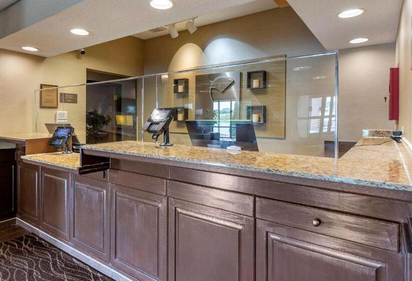 酒店 Comfort Inn Charlotte