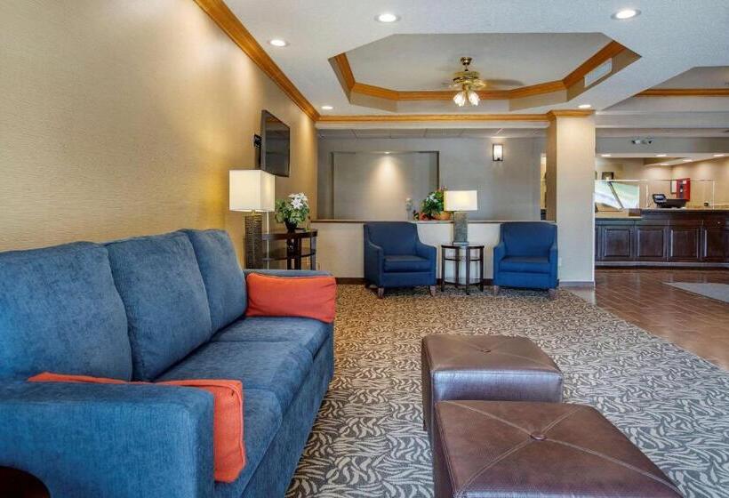 酒店 Comfort Inn Charlotte