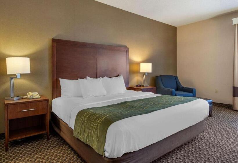 호텔 Comfort Inn Charlotte