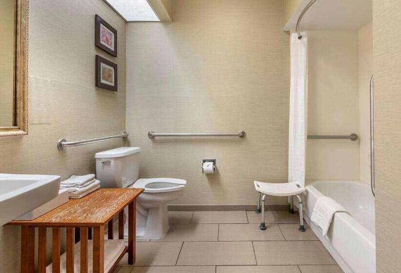 酒店 Comfort Inn Charlotte