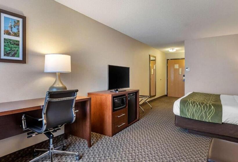 호텔 Comfort Inn Charlotte