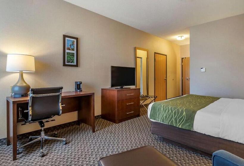 酒店 Comfort Inn Charlotte