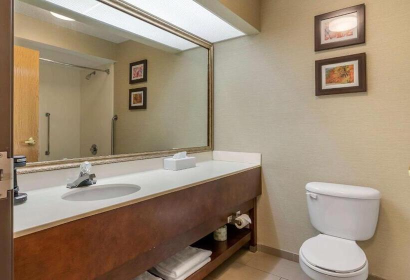 酒店 Comfort Inn Charlotte