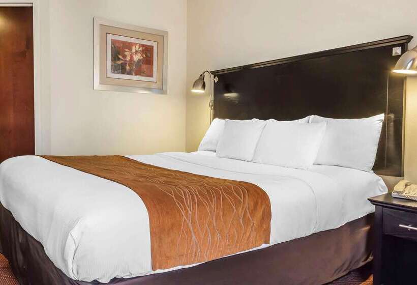 فندق Comfort Inn & Suites Laguardia Airport