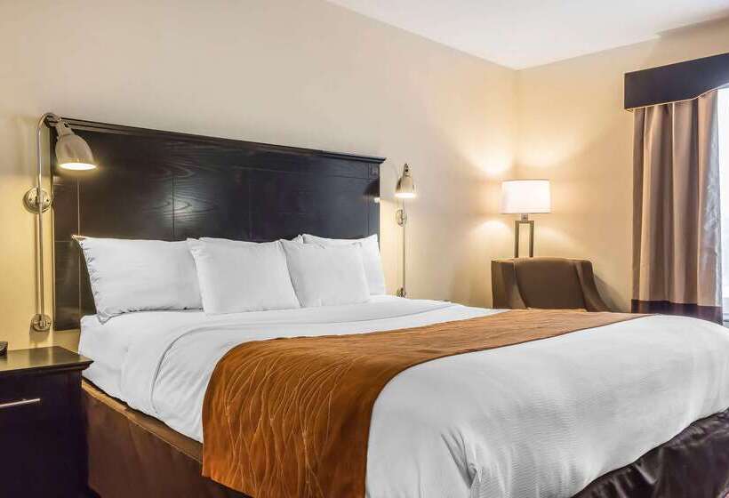 فندق Comfort Inn & Suites Laguardia Airport