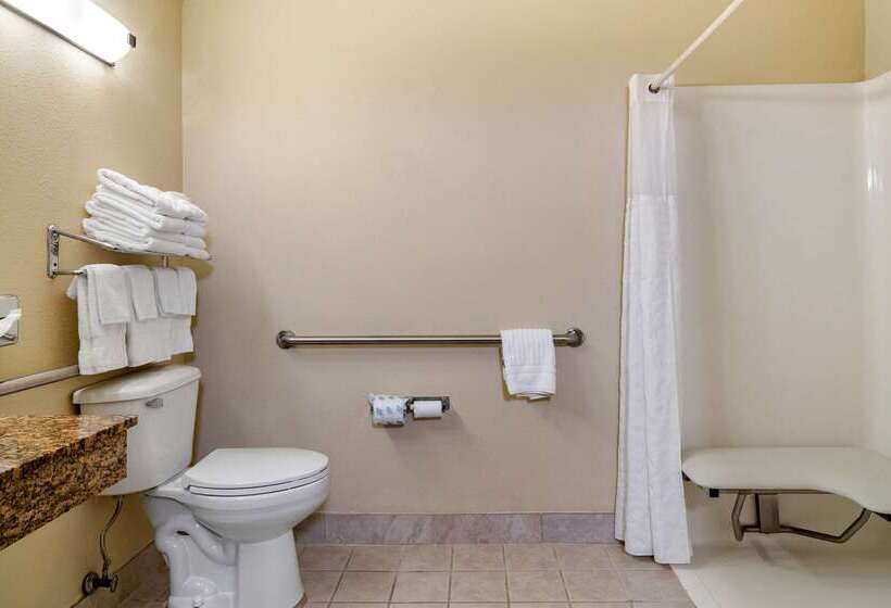 호텔 Comfort Inn & Suites Suwanee  Sugarloaf