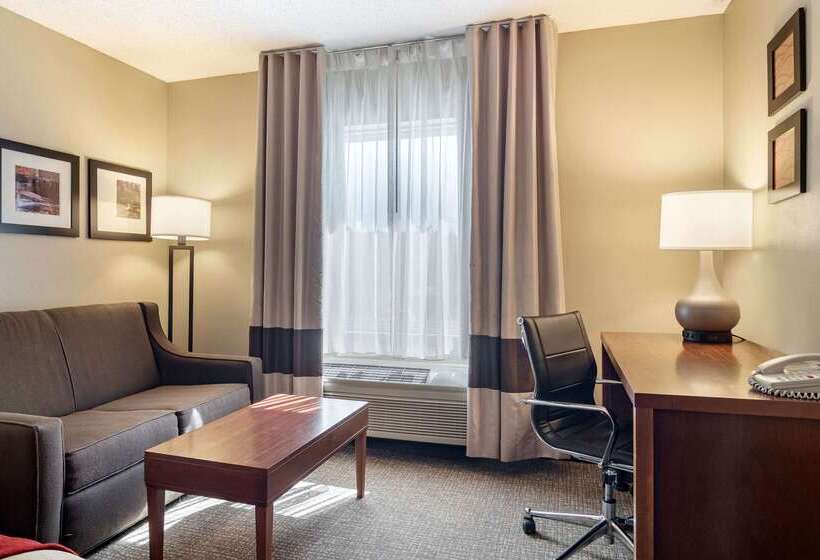호텔 Comfort Inn & Suites Suwanee  Sugarloaf