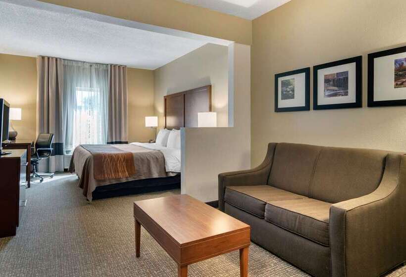 호텔 Comfort Inn & Suites Suwanee  Sugarloaf