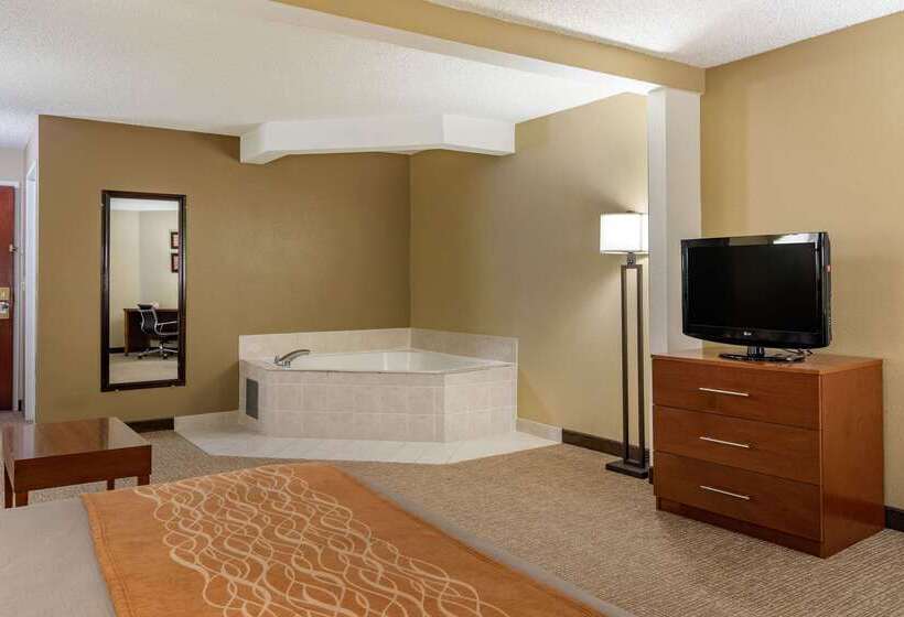 호텔 Comfort Inn & Suites Suwanee  Sugarloaf