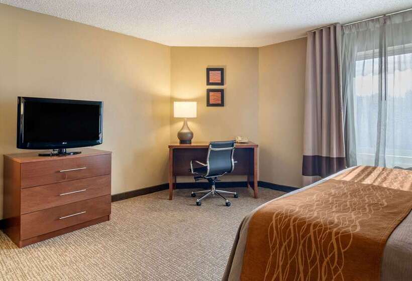 호텔 Comfort Inn & Suites Suwanee  Sugarloaf