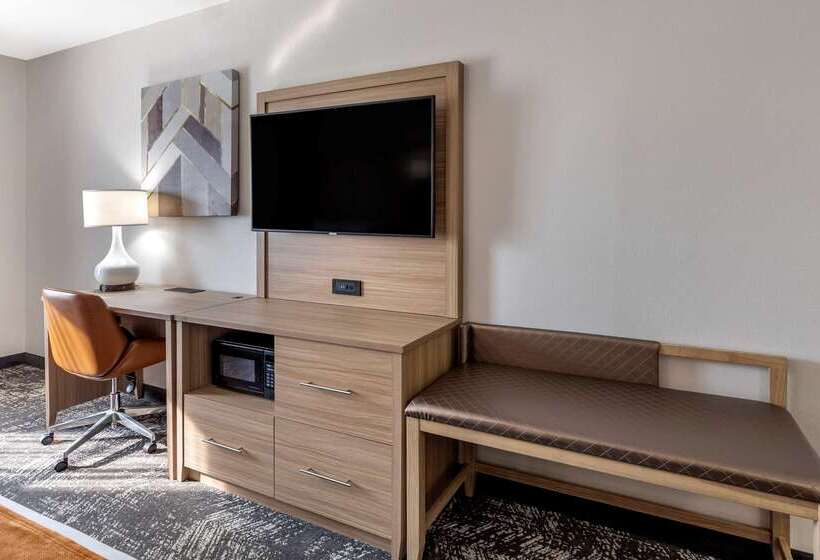 فندق Comfort Suites Anderson Clemson