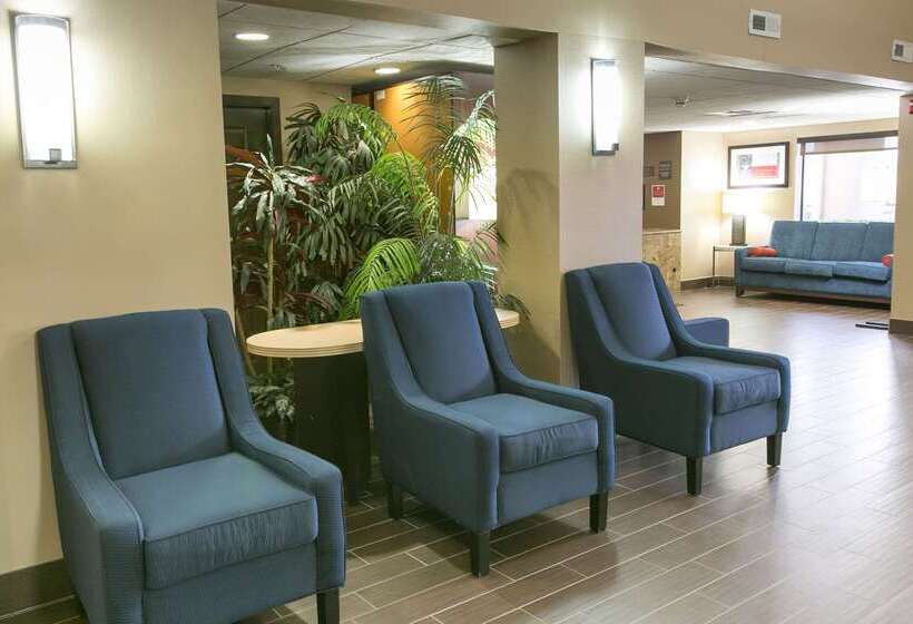 酒店 Comfort Suites Austin Nw Lakeline