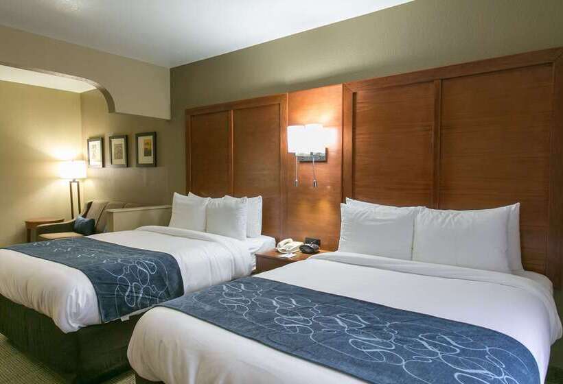 酒店 Comfort Suites Austin Nw Lakeline