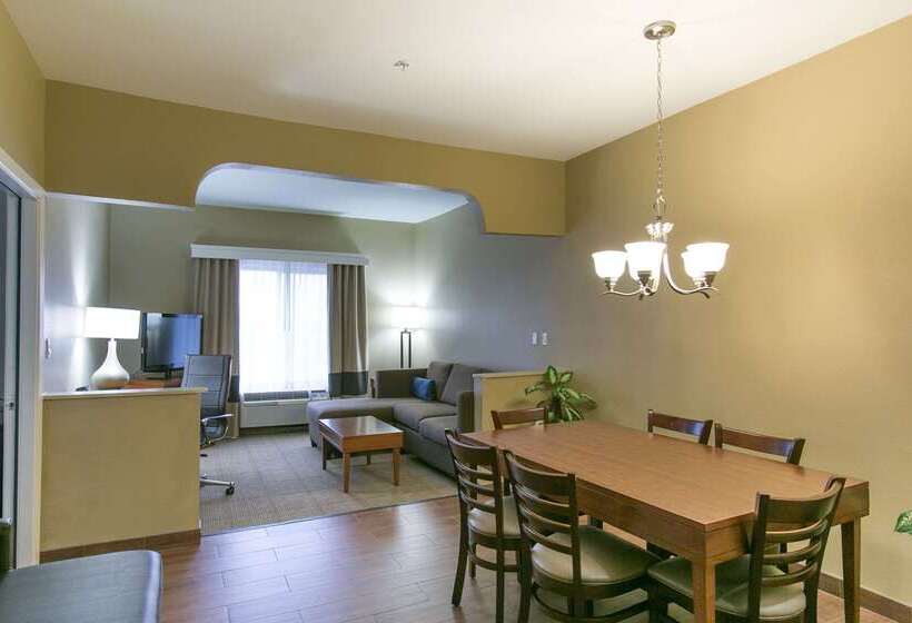 酒店 Comfort Suites Austin Nw Lakeline