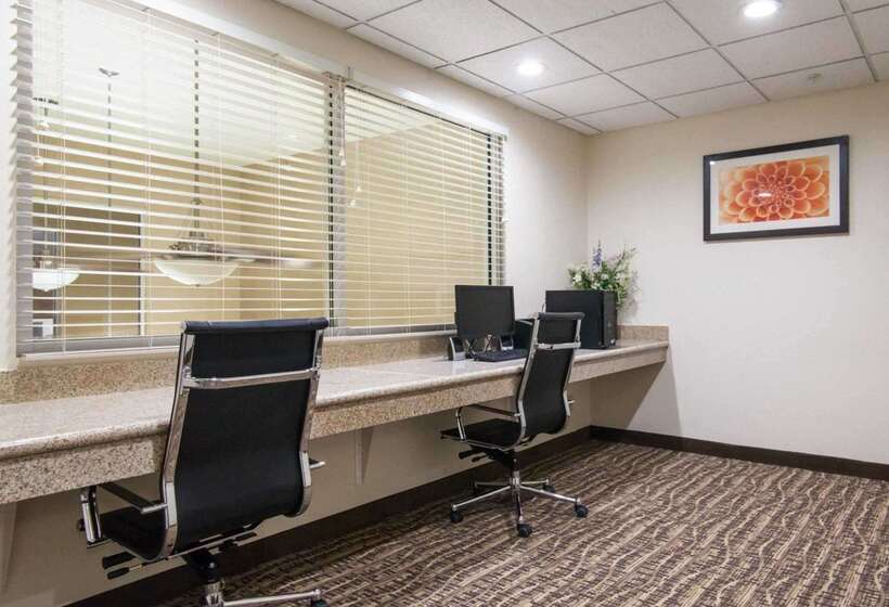 فندق Comfort Suites Central I 44