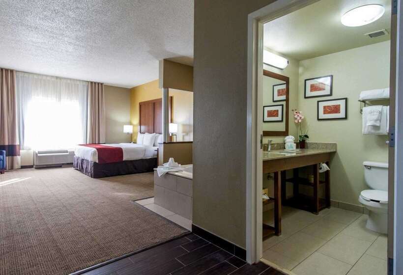 فندق Comfort Suites Central I 44