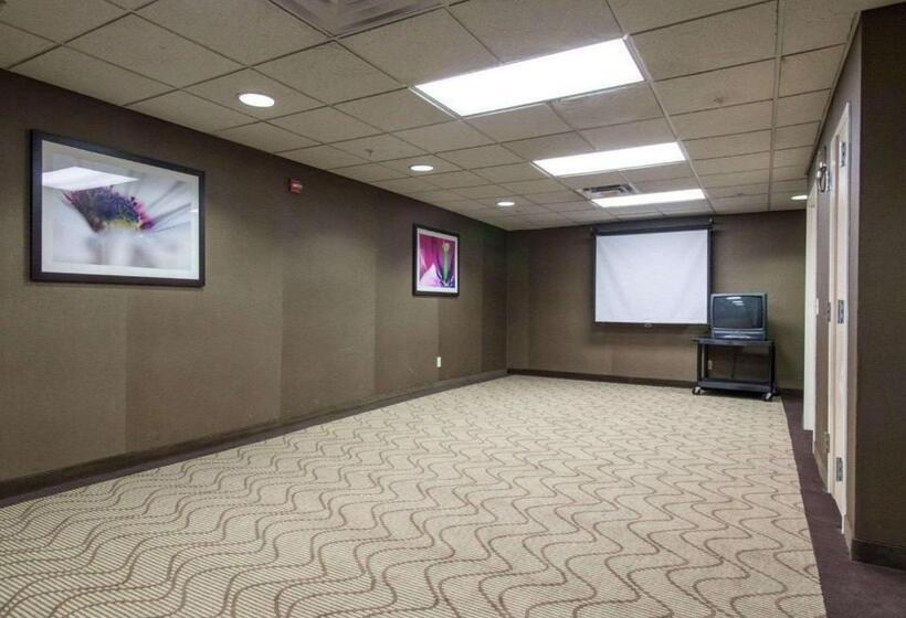 فندق Comfort Suites Central I 44