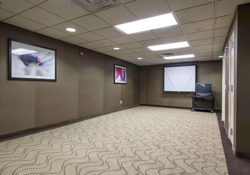 فندق Comfort Suites Central I 44