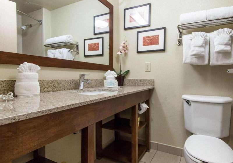 فندق Comfort Suites Central I 44