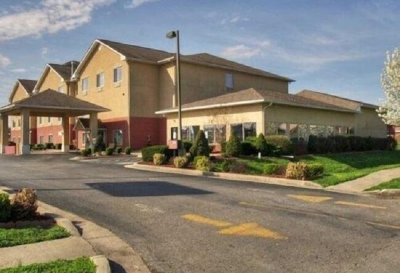 فندق Comfort Suites