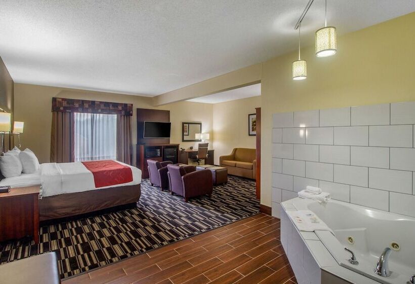 فندق Comfort Suites