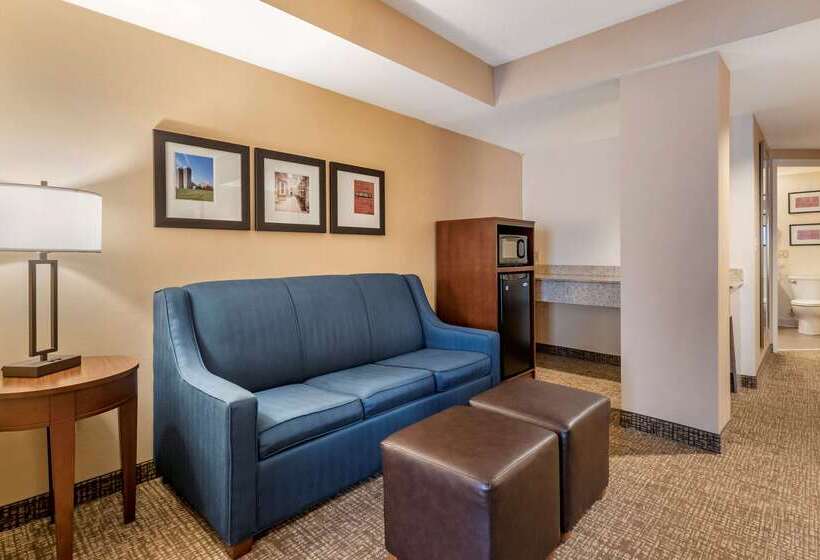 酒店 Comfort Suites Downtown Carlisle