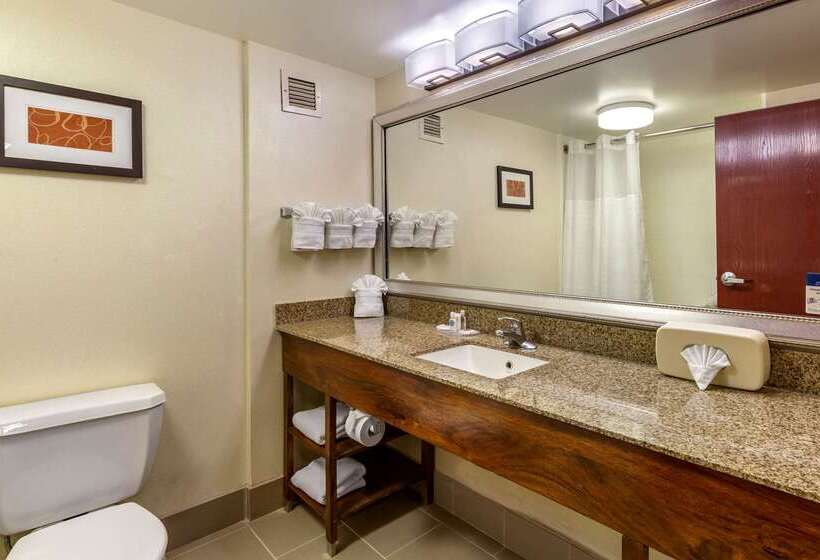 酒店 Comfort Suites Manassas Battlefield Park