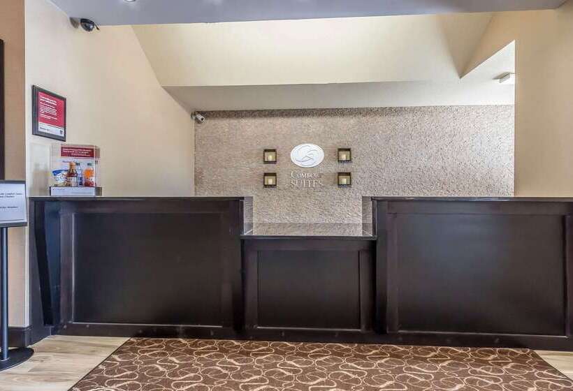 בית מלון כפרי Comfort Suites St Charlesst Louis