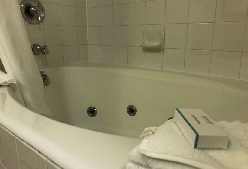 فندق Hilton Garden Inn Addison