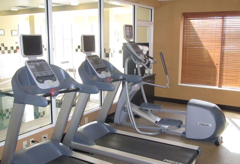 فندق Hilton Garden Inn Addison