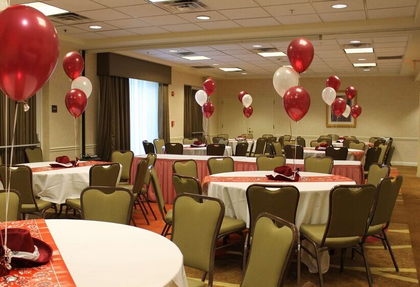 فندق Hilton Garden Inn Addison