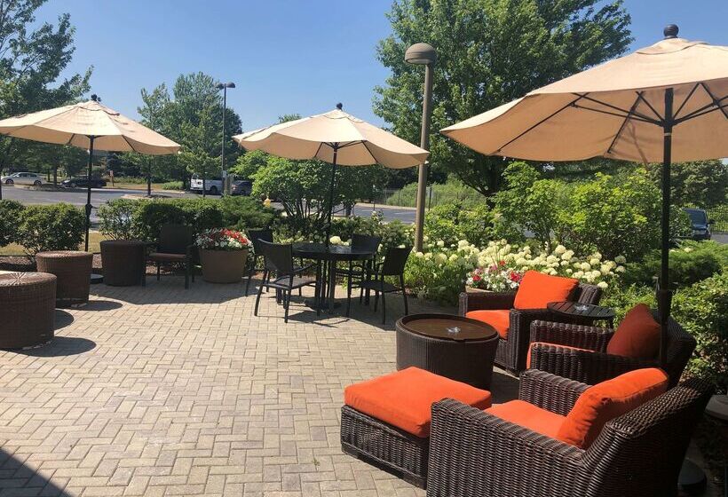 فندق Hilton Garden Inn Addison