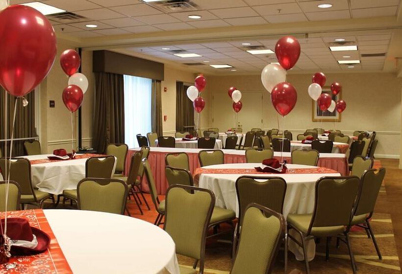 فندق Hilton Garden Inn Addison