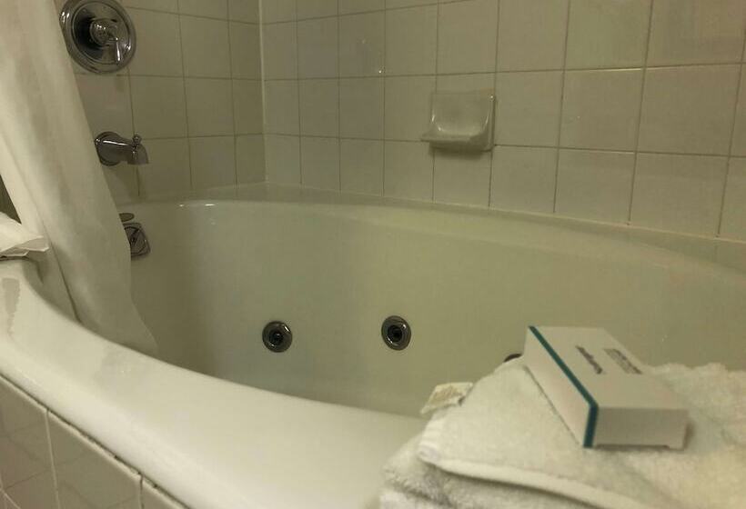 فندق Hilton Garden Inn Addison