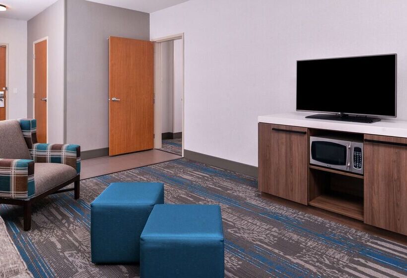 فندق Hilton Garden Inn Salt Lake City Downtown