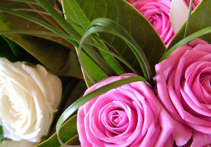 בית מלון כפרי Hilton Garden Inn Tampa East/brandon